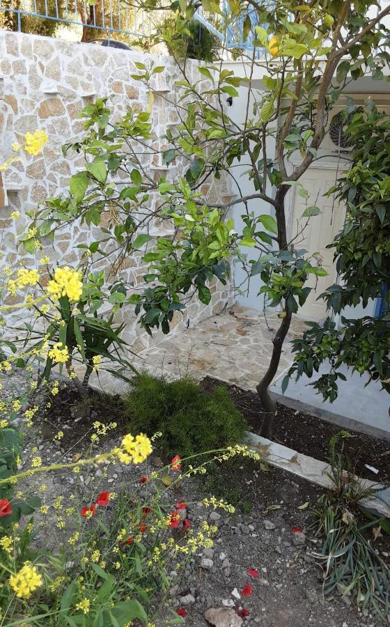 Akrotiri Vasilikí Exterior foto